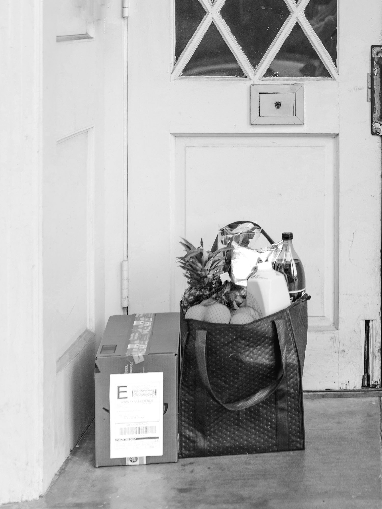 shipping • Sassa Björg